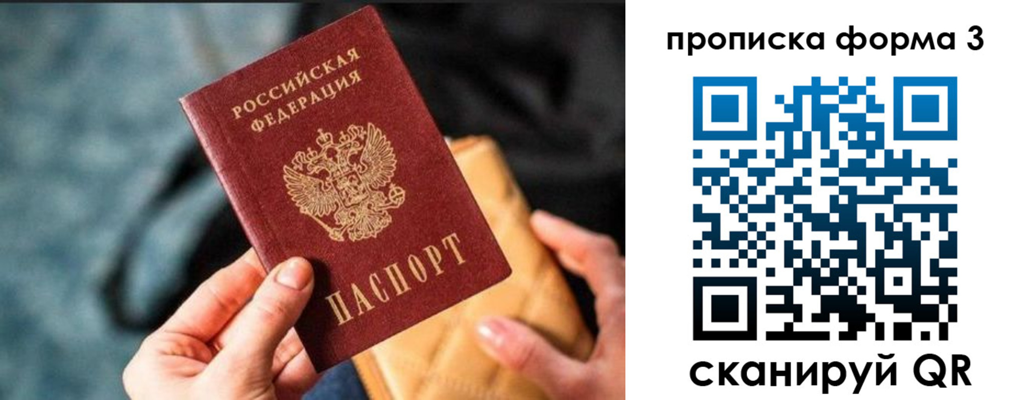 прописка гарантия в Зеленогорске