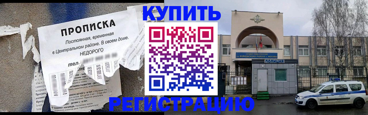 прописка гарантия в Зеленогорске